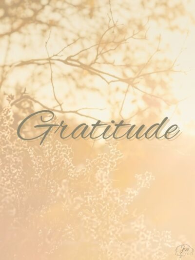 Gratitude Journal